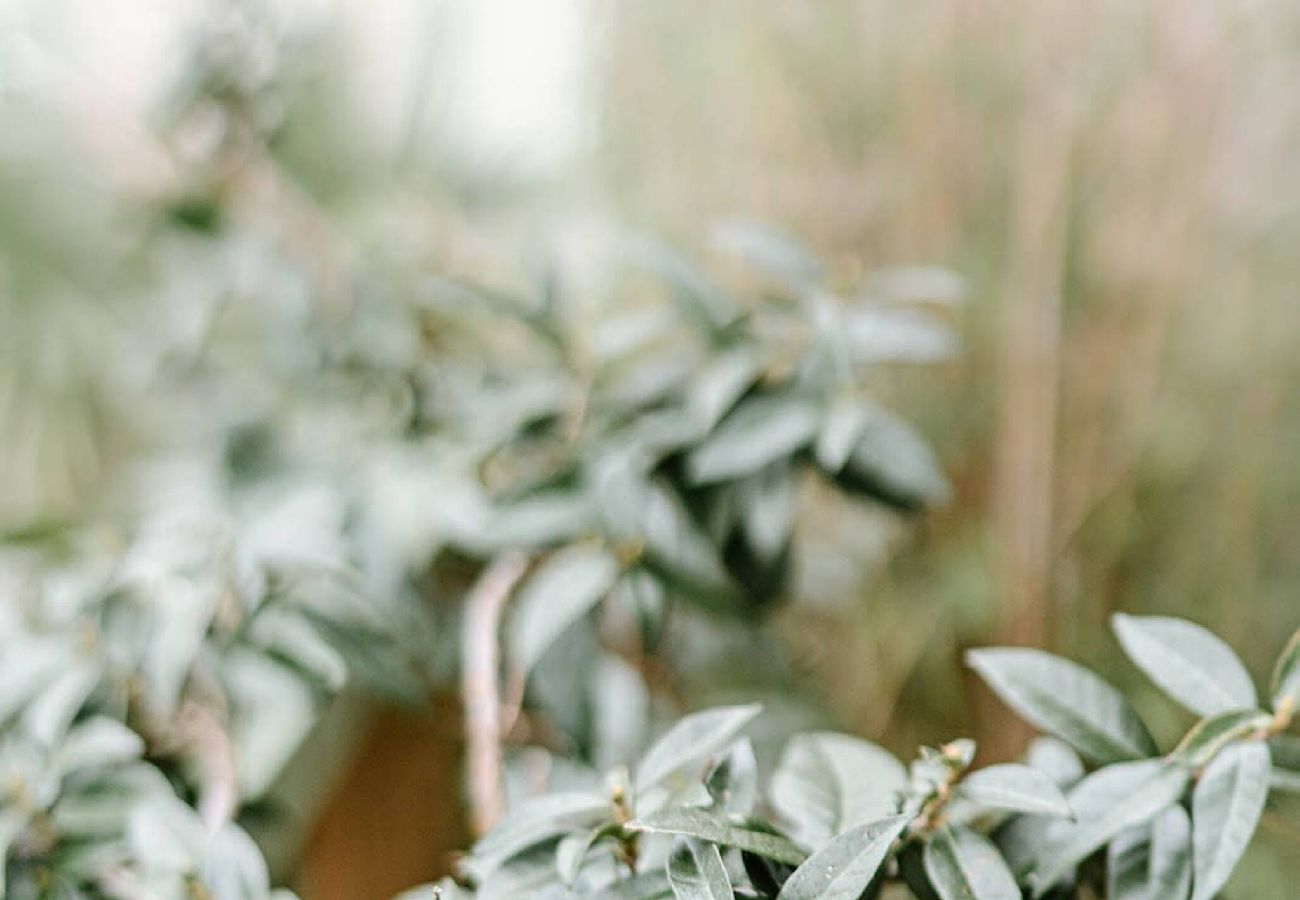 Appartement à Lège-Cap-Ferret - Belisaire appartement de vacances pour 2