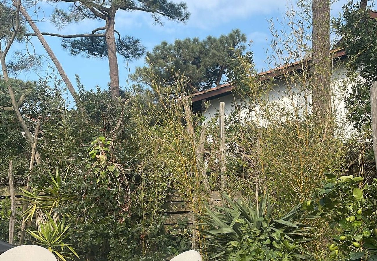 Maison à Lège-Cap-Ferret - Villa Pilotis